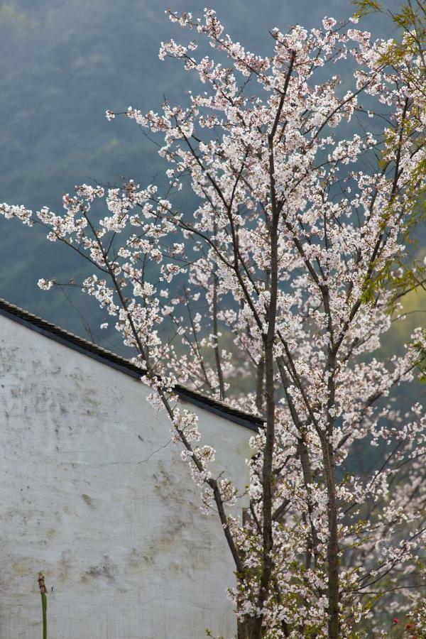 Hotel Ahn Luh Lanting Shaoxing Exterior foto